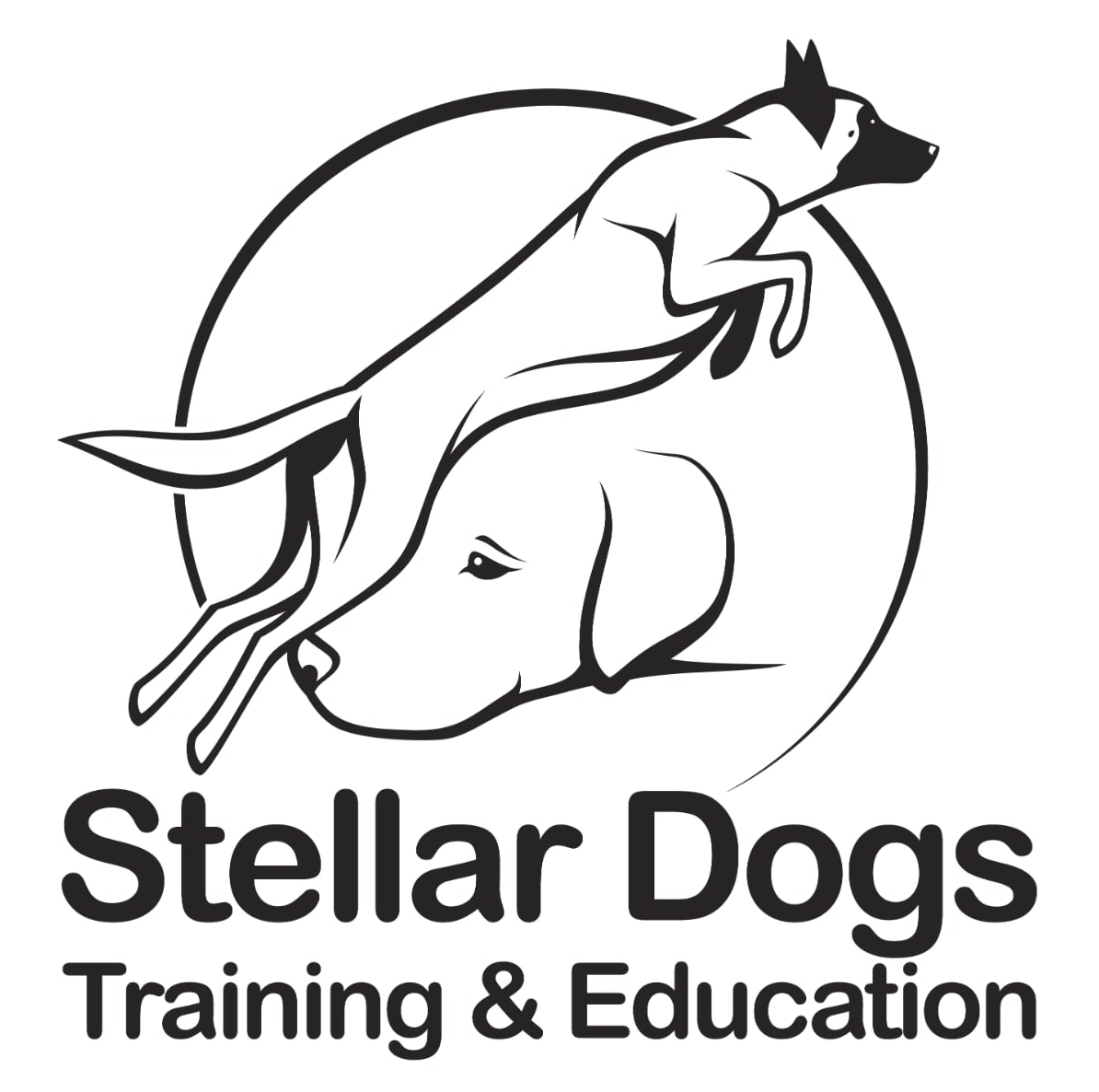 festive-sniff-a-thon-fundraiser-top-dog-events